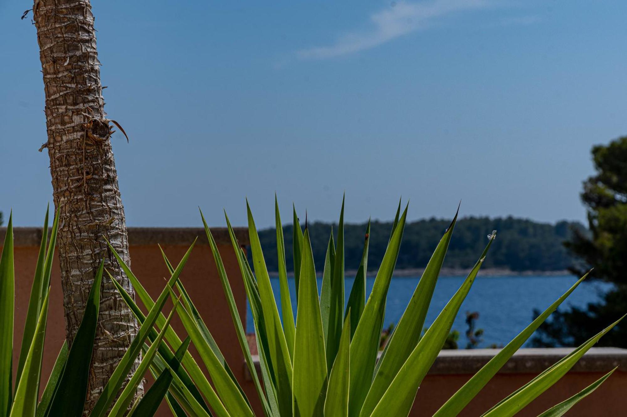 Villa Milina Korcula Vela Luka Pokój zdjęcie